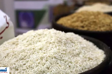 برنج درجه یک ایرانی ۱۵۵ درصد گران شد؛ کمبود کالری در سفره‌ها