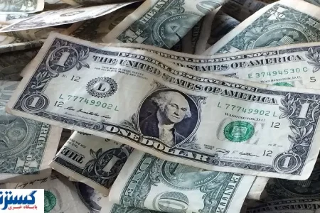 نماینده مجلس قیمت دلار را تا زمستان ۱۴۰۴ پیش‌بینی کرد