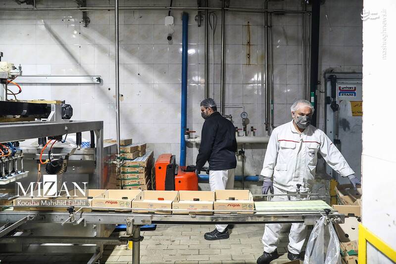 عکس/ بازدید دادستان تهران از شرکت صنایع شیر ایران