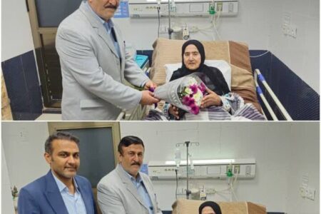 فرماندار دیلم با مادر شهید بازویی دیدار کرد