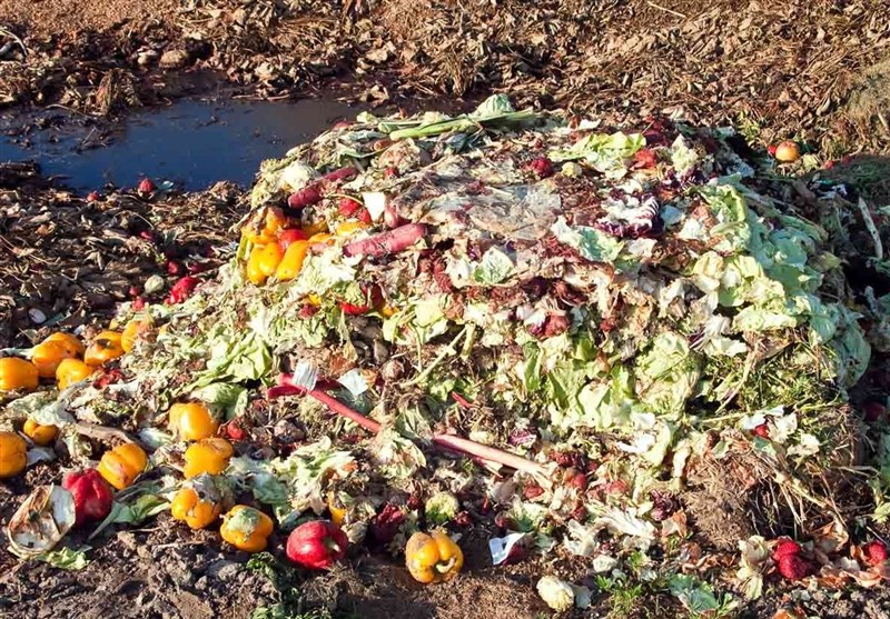 قوه قضائیه , اخبار استان خراسان شمالی , 