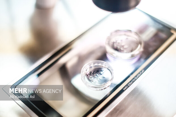 فریز جنین چیست و برای چه کسانی توصیه می‌شود؟