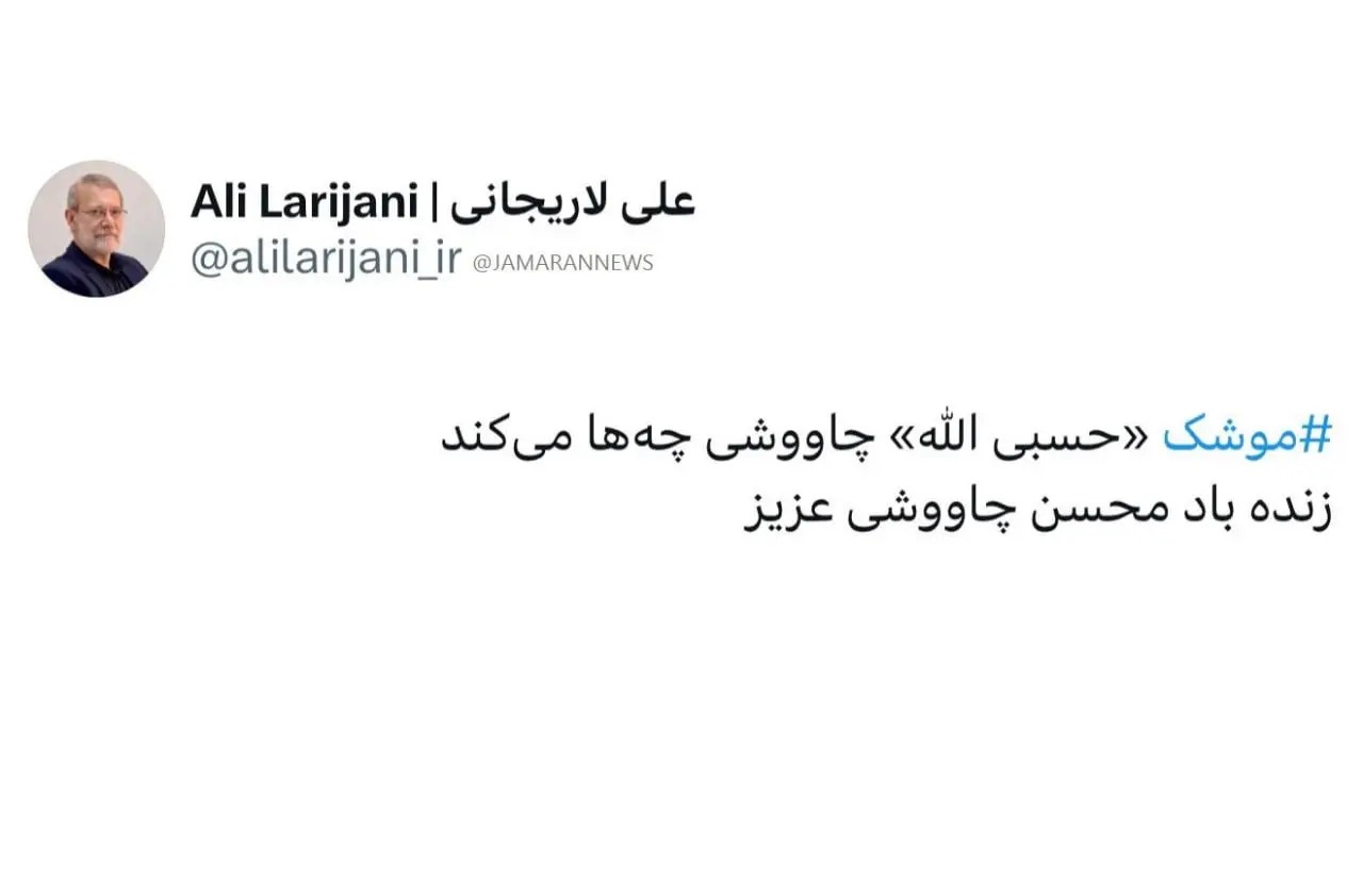 لاریجانی: موشک «حسبی الله» چاووشی چه‌ها می‌کند