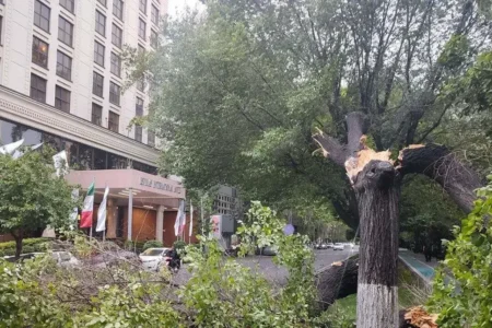 تازه‌ترین آمار از تعداد مصدومان طوفان امروز در تهران