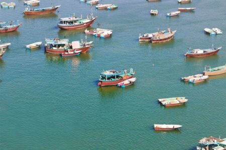 صیادان بوشهر؛ نگهبانان بی‌صدای خلیج فارس در روزهای التهاب و جنگ