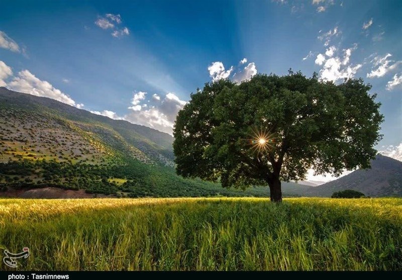 نظام مسائل استان لرستان , استان لرستان , اخبار استان لرستان , بحران آب , 
