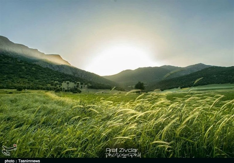 نظام مسائل استان لرستان , استان لرستان , اخبار استان لرستان , بحران آب , 