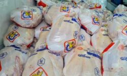 التهاب بی‌پایان در بازار مرغ شمال/ دلالان می‌تازند، مردم می‌بازند!
