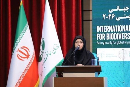 انصاری: یک میلیون و 340 هزار هکتار ‌اراضی تالابی ‌سند مالکیت گرفت