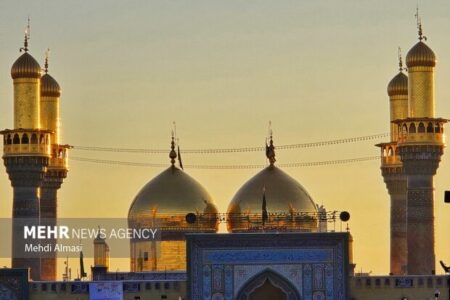 بازخوانی دکترین وکالت و مواسات در سیره امام جواد (ع)