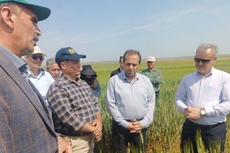راه‌اندازی 2 هزار مزرعه الگویی برای 5 محصول استراتژیک در کشور