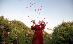 سفر به قلب مزارع معطر ساری؛ وقتی دودانگه بوی بهشت می‌گیرد