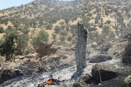شکننده‌ترین وضعیت جنگل‌های زاگرس‌‌/ حریق در 8848 هکتار از لرستان