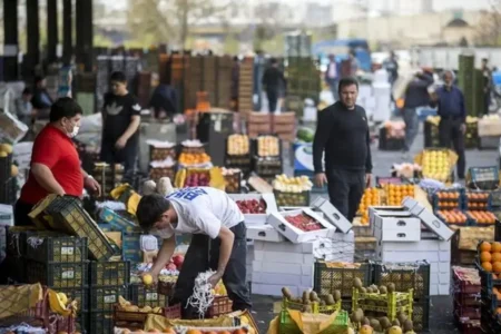 طرح تشدید نظارت بر کالاهای کشاورزی کلید خورد/ ۳۱ هزار پرونده تخلف در ۱۴۰۴
