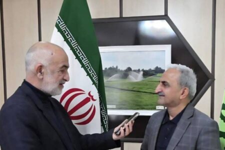 عبور خرید برگ سبز چای از مرز 26 هزار تن