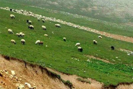 مراتع ایران در مسیر ‌فرسایش‌/ ریشه بحران در ثروت طبیعی کجاست؟