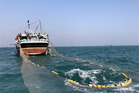 کشف 4.5 تُن ماهی ساردین فاقد مجوز در سواحل جنوبی استان بوشهر