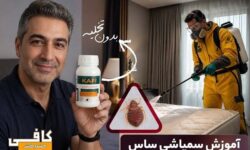آموزش سمپاشی ساس تختخوابی با سم قوی ساس‌کش بدون تخلیه منزل