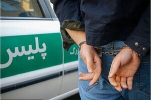 دستگیری ۶۶ کارچاق‌کن و مدعی نفوذ در گلستان