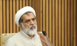 رجایی نیا:‌سیاست‌های جمعیتی بدون رفع دغدغه‌های اقتصادی موفق نمی‌شود