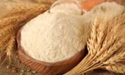چگونه شپشک و حشرات موجود در آرد را از بین ببریم؟