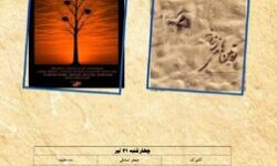 «کابوک» و «پوتین‌های زنانه» به پاتوق مستند رسیدند